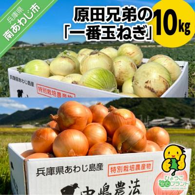 ふるさと納税 南あわじ市 原田兄弟の一番玉ねぎ 10kg